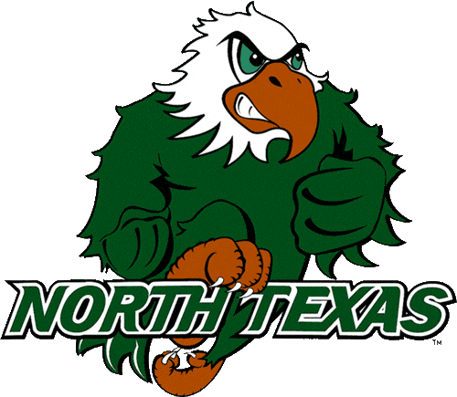 North Texas Mean Green 2003-2004 Alternate Logo t shirts iron on transfers